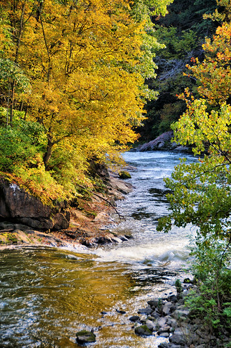 autumn fall water rocks colorful stream fallcolors imagebydesignworks