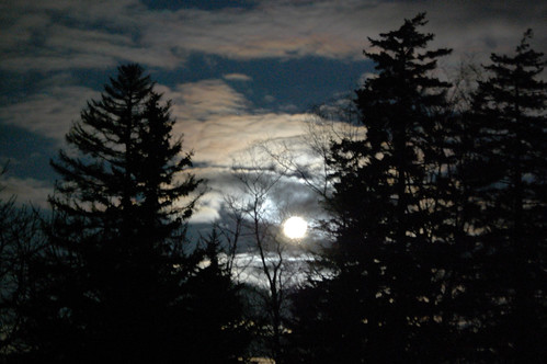 Moonset, 5:15 AM
