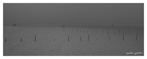 bw fog valle lagoon bn laguna pali nebbia acqua inverno chioggia foschia valli blackwhitephotos lagunaveneta lagunasud