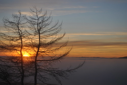 trees sunset mist fog evening scotland sundown hills campsies