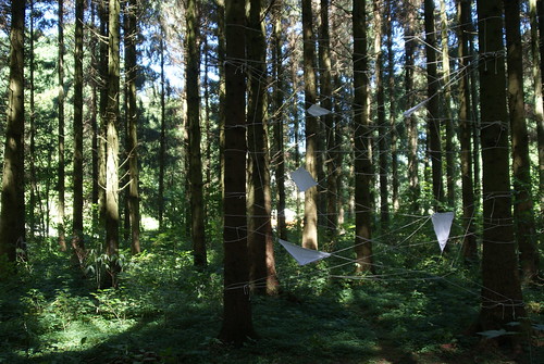 art nature forest belgium belgique foret landart neufchateau