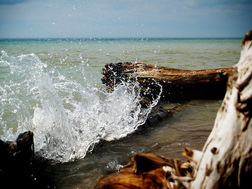 summer storm beach water log waves lakehuron