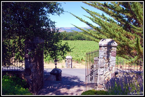 california winecountry nikond90