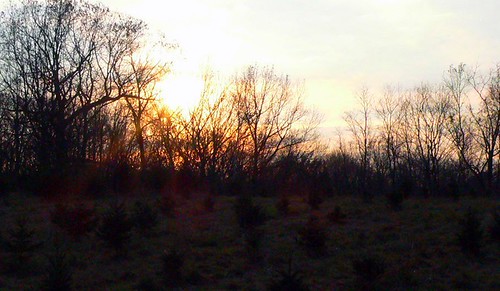 trees sunset sky sun skyscape flickr connecticut silhouettes ct 2006 morris litchfieldcounty bantamlake northwestct blyc northwestconnecticut reinalasol morrisct bantamlakeyachtclub