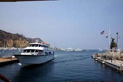 catalina  > dana point ferry    MG 3368 
