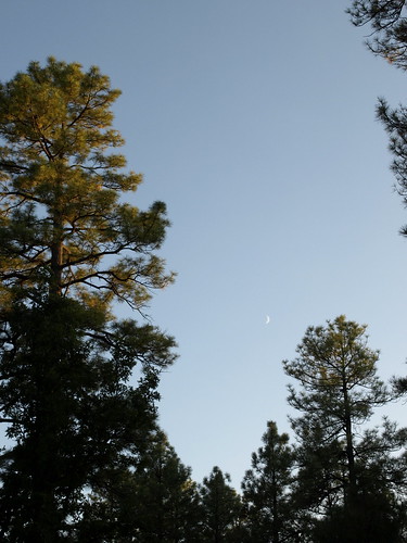 sunset arizona moon whitemountains luna pinetop pinetoparizona pintoplakesite
