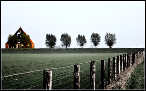 trees holland netherlands contrast fence landscape view farm noordholland boerderij cotcpersonalfavorite stolpboerderij