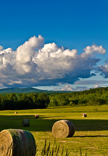 trees color green field landscape vermont bluesky salisbury puffyclouds greenmountains haybail