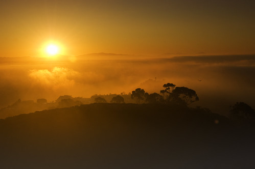 trees sky orange fog clouds sunrise amber view sandiego horizon hill lajolla sillhouette mtsoledad