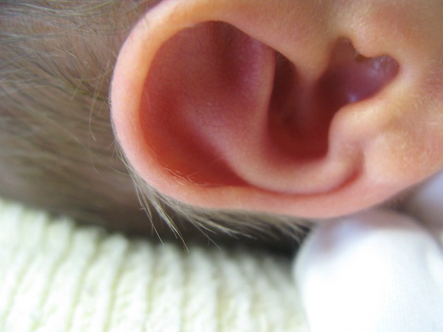 Newborn Ear