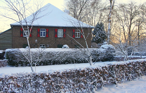 winter snow netherlands sunrise sneeuw nederland horn limburg zonsopkomst