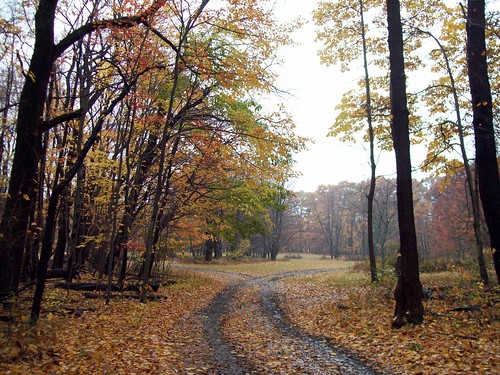 fall woods pennsylvania hike hikes universityofpittsburghatjohnstown