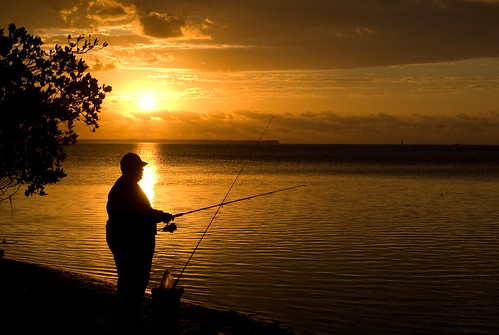 sun sunrise fishing florida everglades evergladesnationalpark kitschy