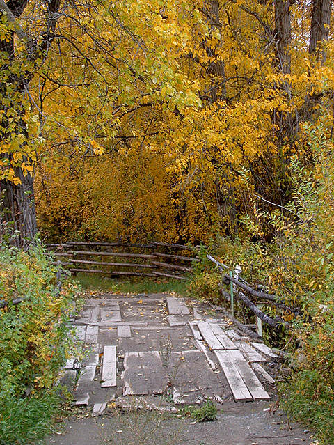 old bridge on country road
