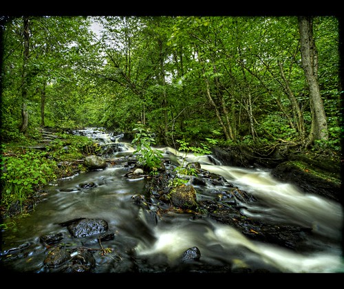 green nature forest landscape lumix stream quebec brook hdr estrie weedon ruisseau hdrquebec dmcl10