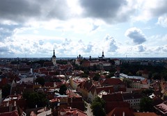 Tallinn seen from the top of S. Olaf Church