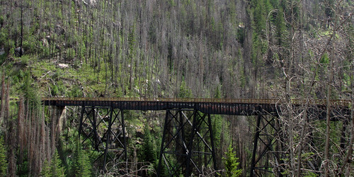 trestle bridge okanagan trail kettlevalleyrailway kvr railbed transcanadatrail myracanyon