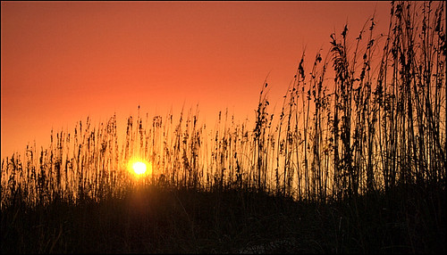 beach dusk southcarolina sunsets charleston sanyo seaoats sullivansisland sanyodigital