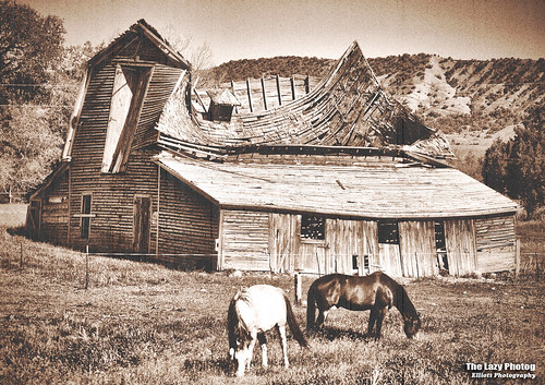 lazy photog elliott photography ten sleep wyoming anderson barn weathered decayed sagging falling collapsing horses sepia 060511tensleepcanyontheking