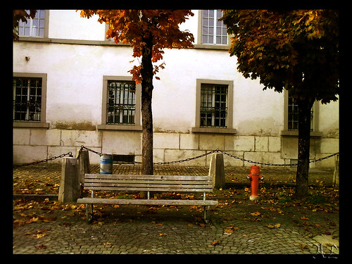 autumn windows red tree fall yellow bench gold schweiz switzerland leaf chains lyrics loneliness suisse suiza swiss suiça fribourg svizzera 50views ornage швейцария platinumheartaward flickrestrellas фрибург limaalisa