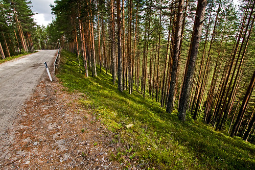 road forest finland woods ridge gravel ilomantsi petkeljärvi esker