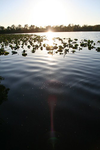 sunset lake michigan bedbreakfast castleinthecountry selectregistryinns