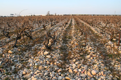 travel vacation france landscape vineyard vines rhône winery wineries chateauneufdupape alainjaumefils domainegrandveneur
