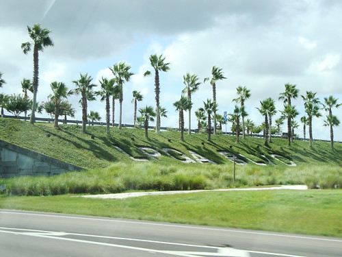 florida landscaping daytonabeach i95 lpgablvd