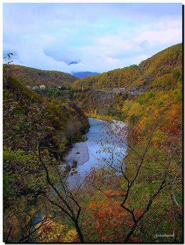 autumn trees colors alberi river fiume autunno colori ghostbuster trebbia bej abigfave sonydsch9 gigi49
