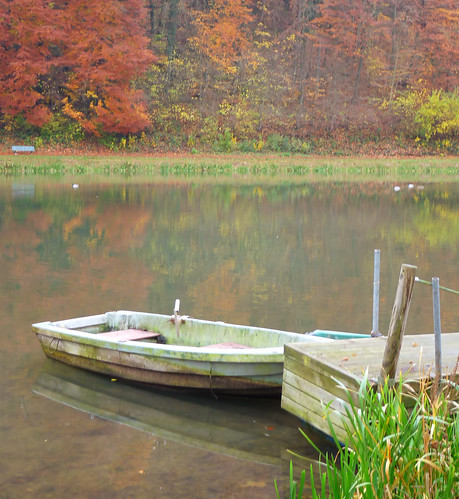 reflection nature automne lumix panasonic paysage lorraine parc couleursdautomne briey meurtheetmoselle fz28 dmcfz28 refletd’eau