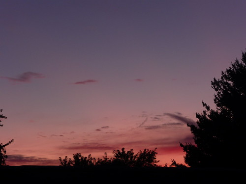 pink trees sunset summer sky west clouds evening purple dusk belmont michigan august