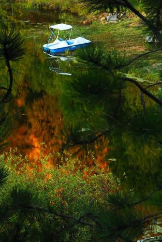 sunset reflection rockies boat pond colorado rocks pines sunlit pedal cripplecreek florissant