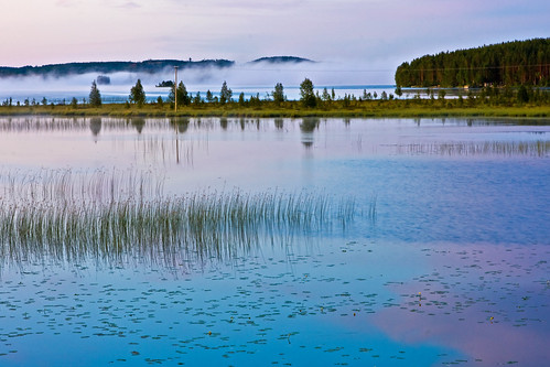 morning lake reed water fog finland dawn rushes lieksa