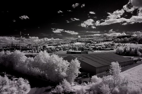 bw canon landscape ir eos 300d infrared 1855mm