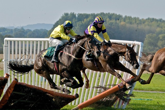 Race Horses Crash Fence