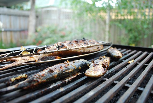 Sardines and snapper on the barbecue