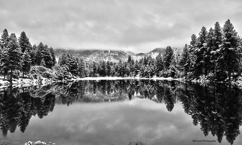 trees sky bw snow reflection tree nature water reflections landscape photography photo nikon