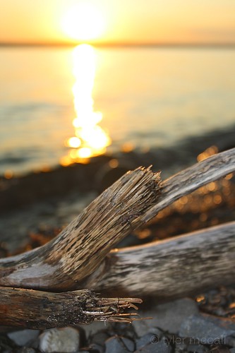 wood sunset sun lake rock bokeh driftwood stick senecalake canonrebelxs canonefs1855mmf3556is canoneos1000d tylermccall