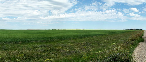 blue panorama canada color colour green farm wheat progress sk prairie saskatchewan agriculture 2009 2000s canadagood