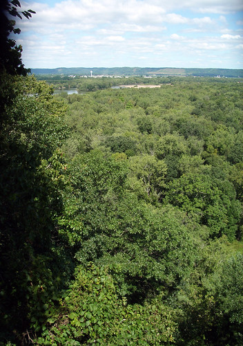 park trees nature wisconsin view vista
