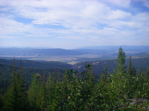 forest landscape montana garnet