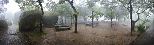 trees green portugal nature rain fog forest pano hill panoramic panoramica guimarães panha gettyimagesiberiaq2
