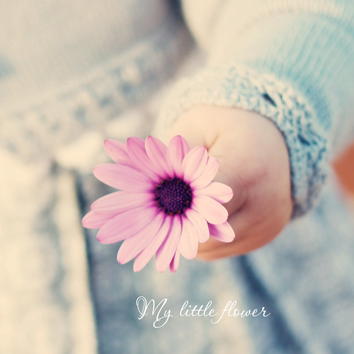 pink blue baby flower detail macro girl square spring hands toddler soft purple pale explore daisy 1000views ainhoa canon50mm18 niftyfifty canon450d