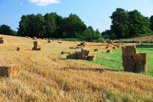 landscape harvest poland polska bucolic suwalszczyzna krajobraz sielanka żniwa żegary