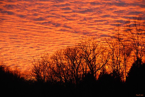 sunset sky color nature nikon tennessee silhouettes sooc bej betterthangood