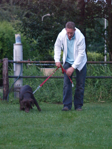 Keep Your Dog On His Best Behavior With These Training Tips 2