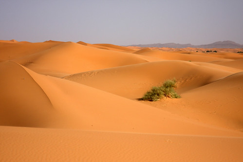 sky sahara sand desert dunes dune morocco cloudless sanddunes saharadesert ergchebbi