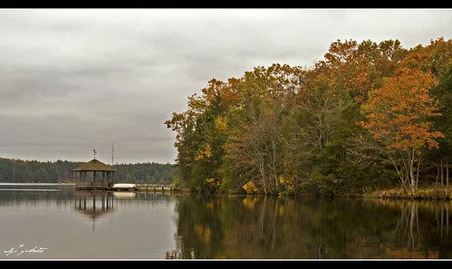 autumn lake fall landscape cloudy overcast foliage tamron manahawkin 2875 manahawkinnewjersey