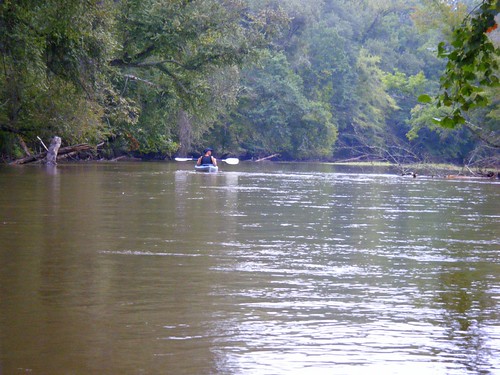 river southcarolina kayaking paddling unioncounty sumternationalforest tygerriver