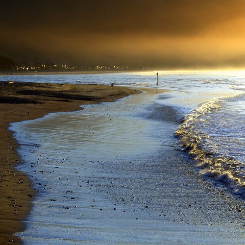ocean california fog sunrise gold bolinas marincounty brightonbeach 2009 westmarin mywinners sal50f18 hbfpe